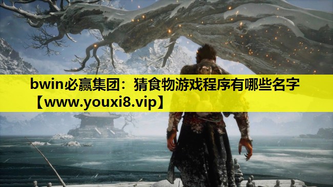 bwin必赢集团：猜食物游戏程序有哪些名字